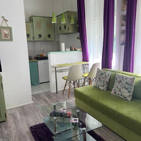 Center Cosy Vintage Apartment Novi Sad Eksteriør billede