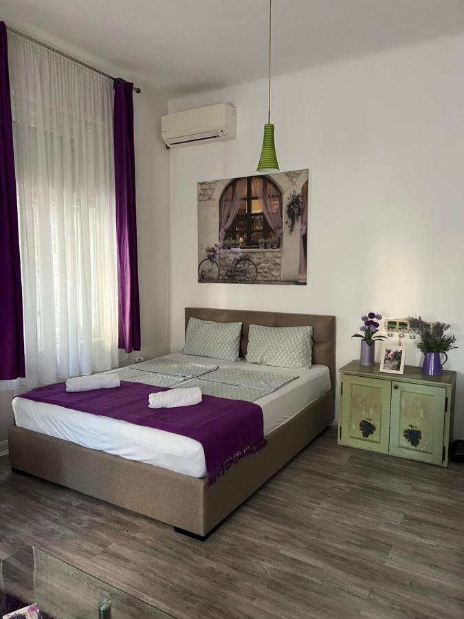 Center Cosy Vintage Apartment Novi Sad Eksteriør billede