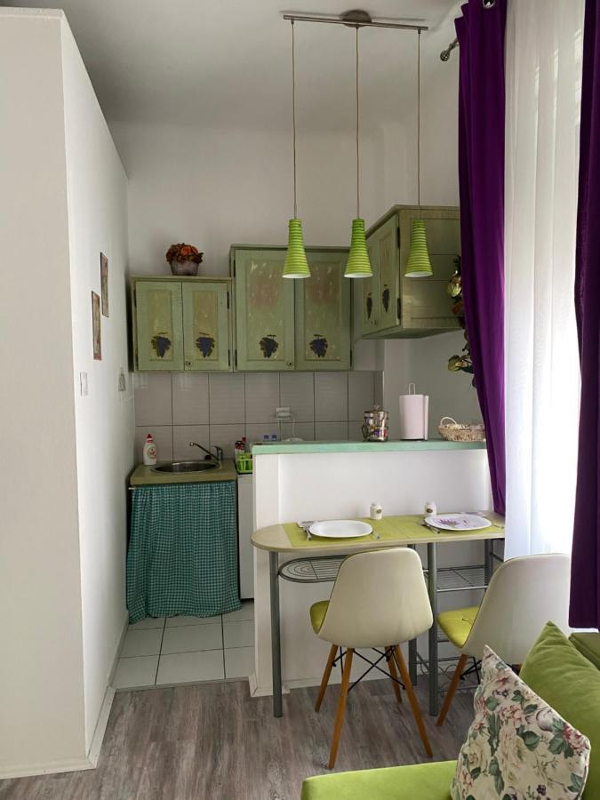 Center Cosy Vintage Apartment Novi Sad Eksteriør billede