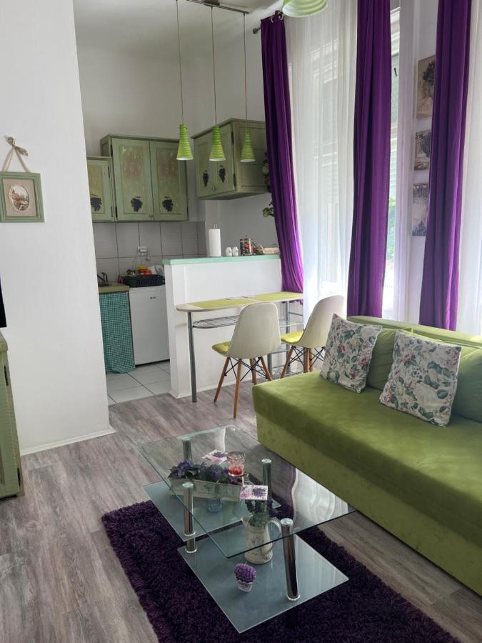 Center Cosy Vintage Apartment Novi Sad Eksteriør billede