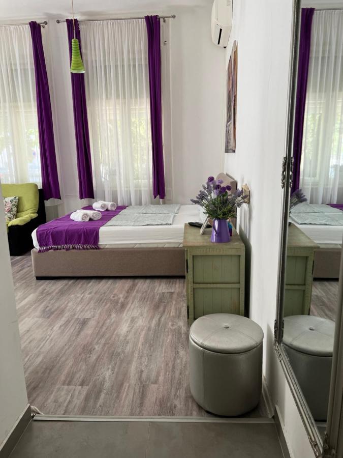 Center Cosy Vintage Apartment Novi Sad Eksteriør billede