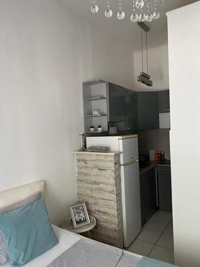 Center Cosy Vintage Apartment Novi Sad Eksteriør billede